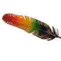 Regenbogen-feder