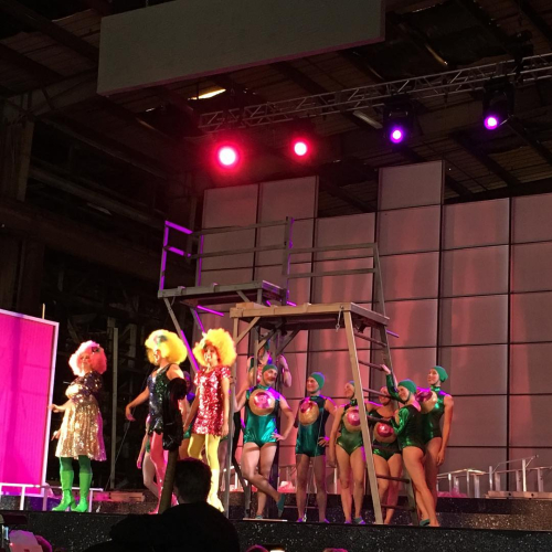 Arbore-di-diana-2017